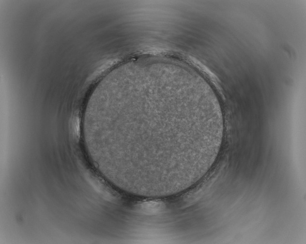 X0000110920067200907301611