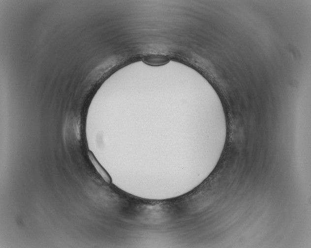 X0000110920068200907301611