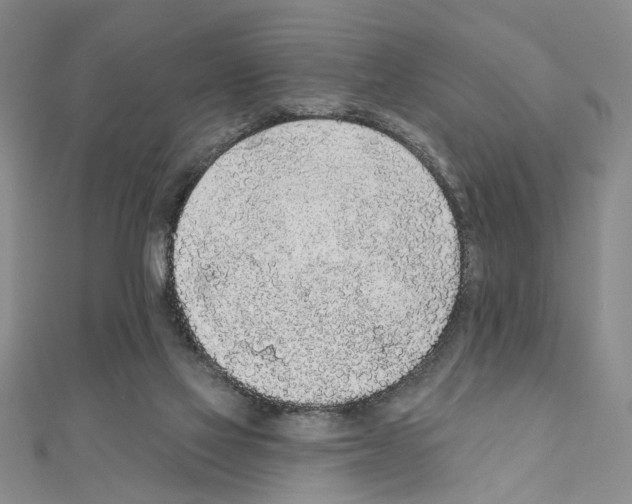 X0000110920069200907301611