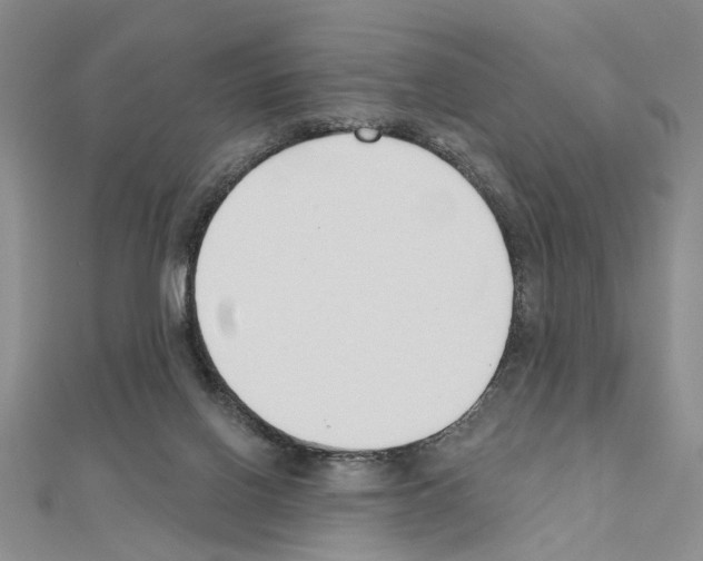 X0000110920070200907301611