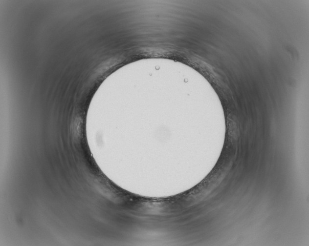 X0000110920071200907301611