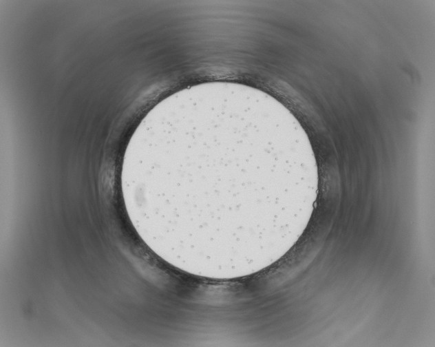 X0000110920072200907301611