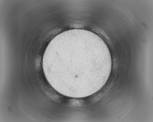 X0000110920073200907301611