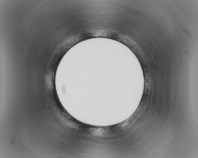 X0000110920074200907301611