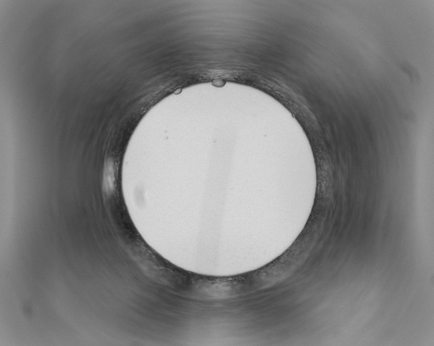 X0000110920075200907301611