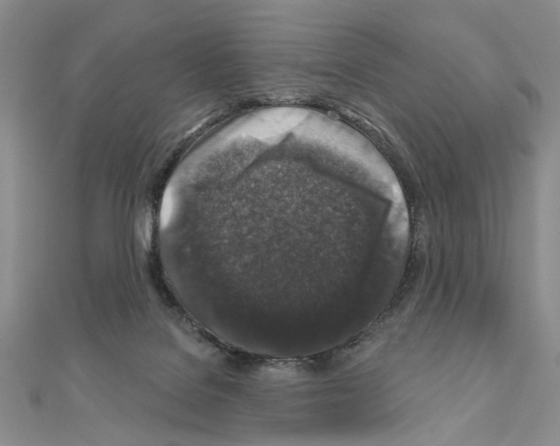 X0000110920076200907301611