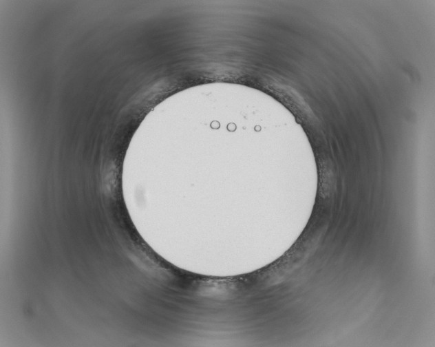 X0000110920077200907301611