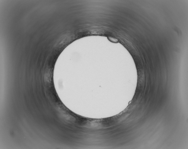 X0000110920078200907301611
