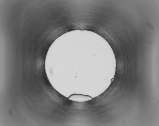 X0000110920079200907301611