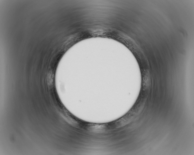 X0000110920081200907301611