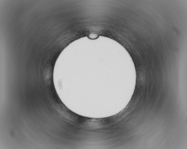 X0000110920082200907301611