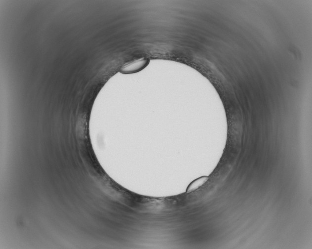 X0000110920083200907301611
