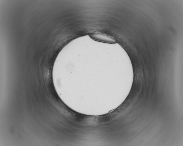 X0000110920084200907301611