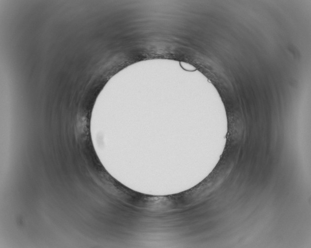 X0000110920087200907301611