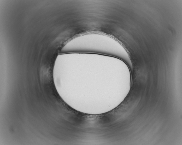 X0000110920088200907301611