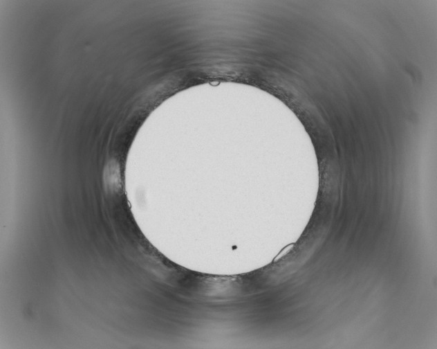 X0000110920089200907301611