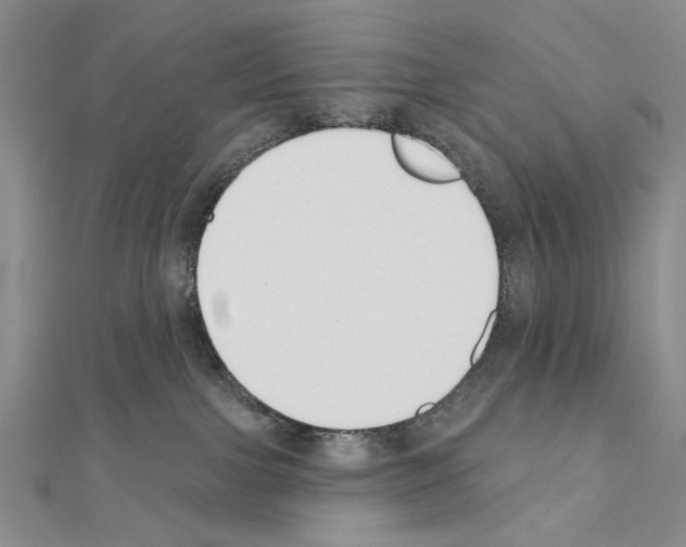 X0000110920091200907301611