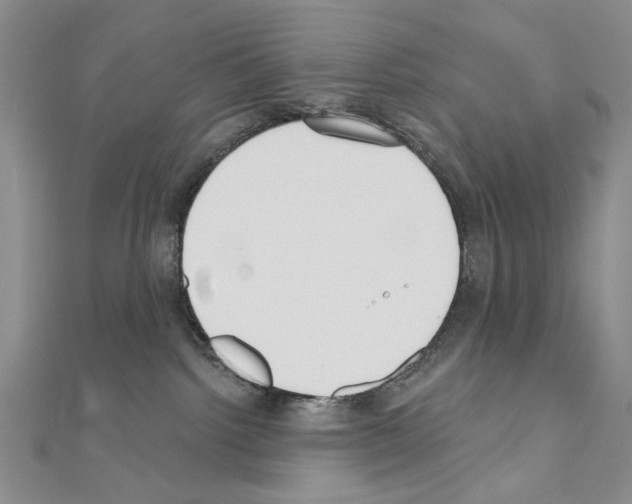 X0000110920092200907301611