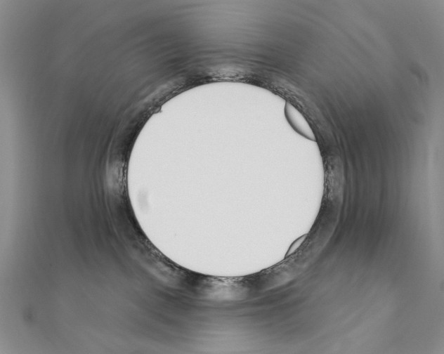 X0000110920093200907301611