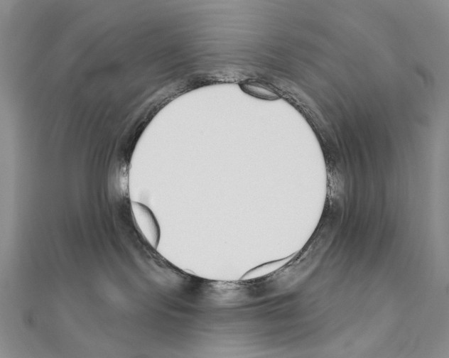 X0000110920095200907301611