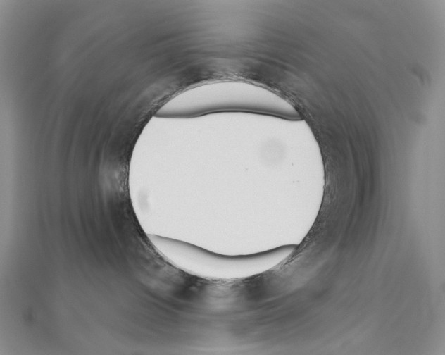 X0000110920096200907301611
