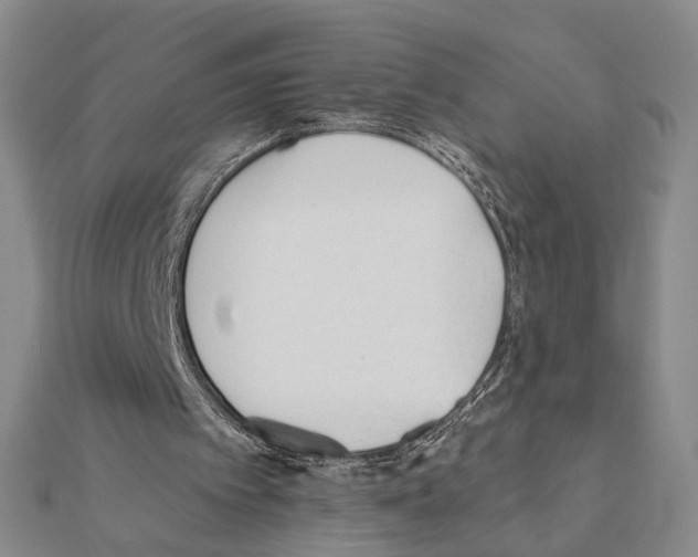 X0000110920097200907301611