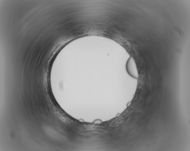 X0000110920098200907301611