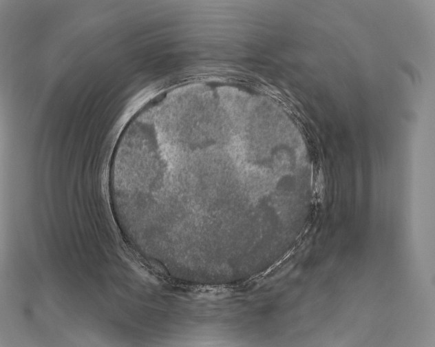 X0000110920099200907301611