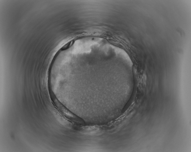 X0000110920100200907301611