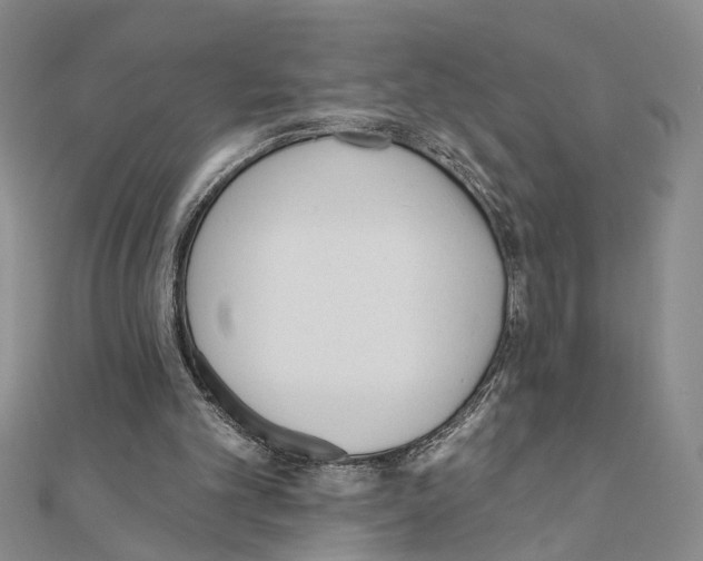 X0000110920101200907301611