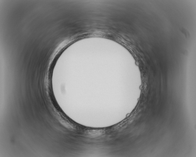 X0000110920102200907301611