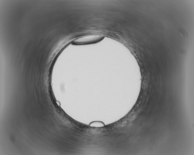 X0000110920103200907301611
