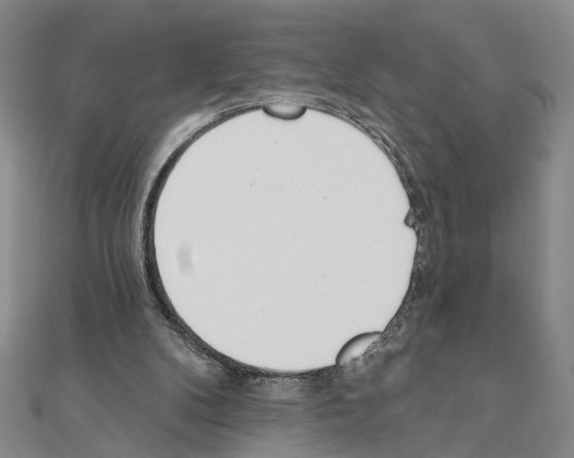 X0000110920104200907301611