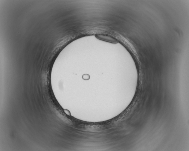X0000110920105200907301611