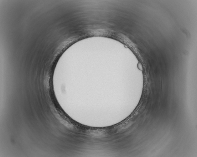 X0000110920106200907301611