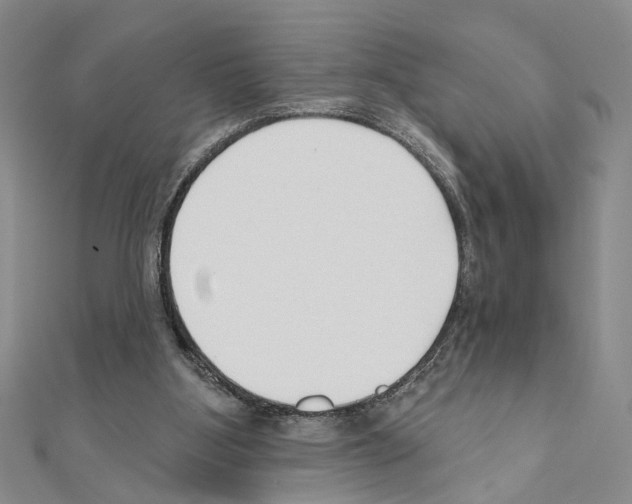 X0000110920107200907301611