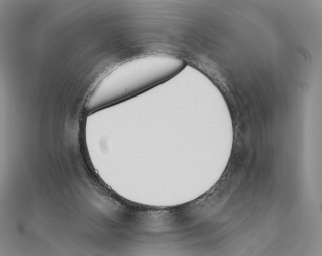 X0000110920108200907301611
