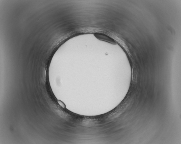 X0000110920109200907301611