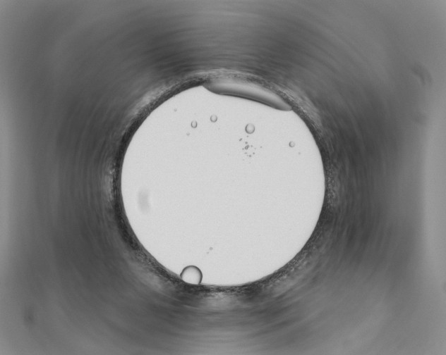 X0000110920111200907301611