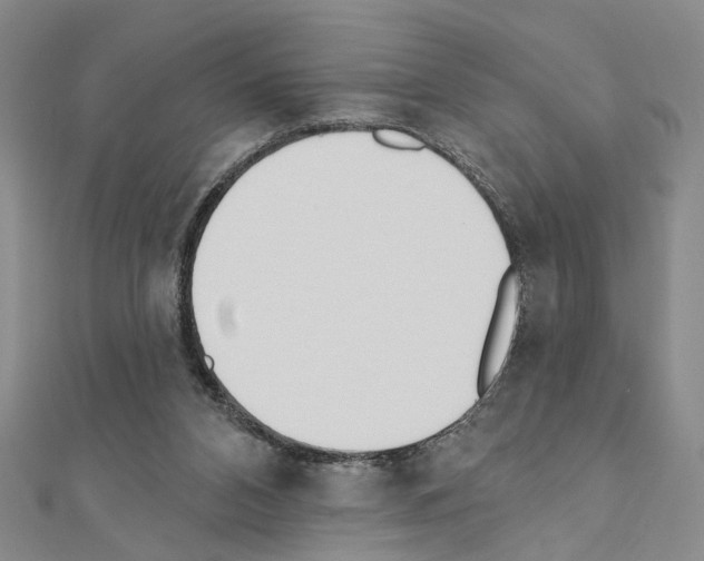 X0000110920112200907301611