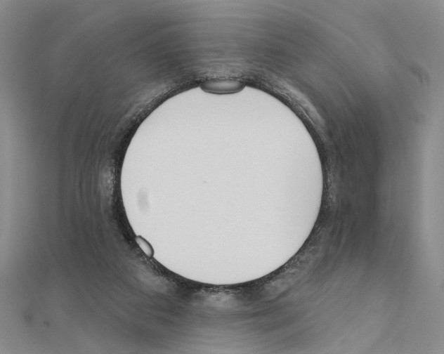 X0000110920113200907301611