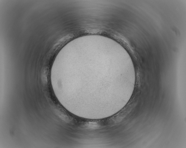 X0000110920114200907301611