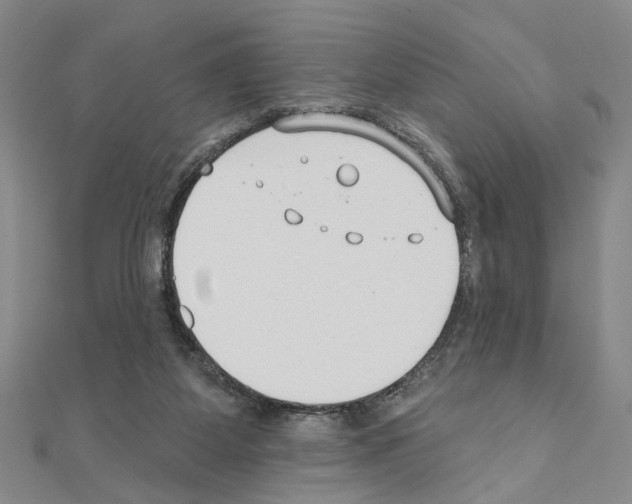 X0000110920115200907301611