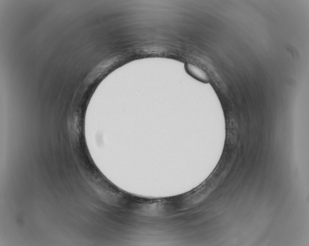 X0000110920116200907301611