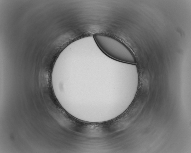 X0000110920117200907301611