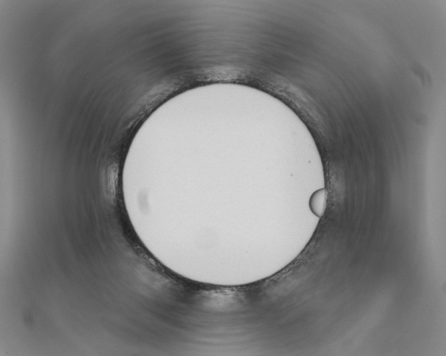 X0000110920118200907301611