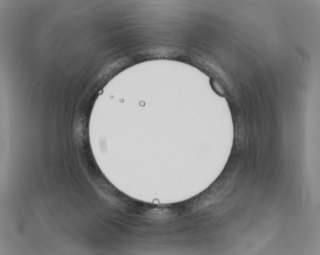 X0000110920119200907301611