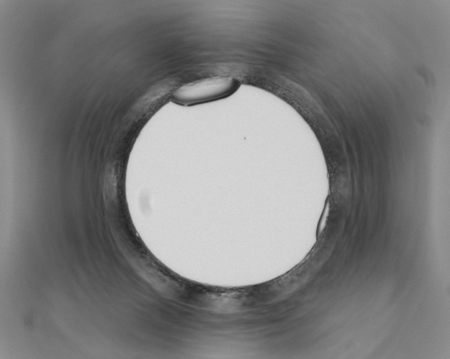 X0000110920120200907301611