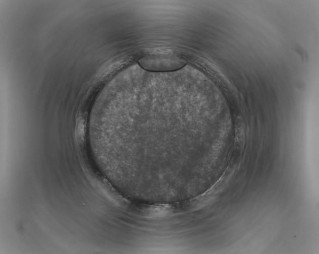 X0000110920124200907301610