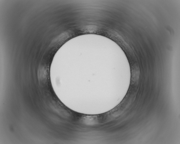 X0000110920126200907301610